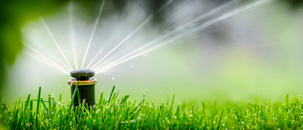 Test and adjust your sprinkler system to ensure proper coverage.