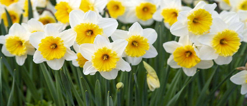 Spring may be the best time to sell your Spokane, home because it is more inviting after a long winter.