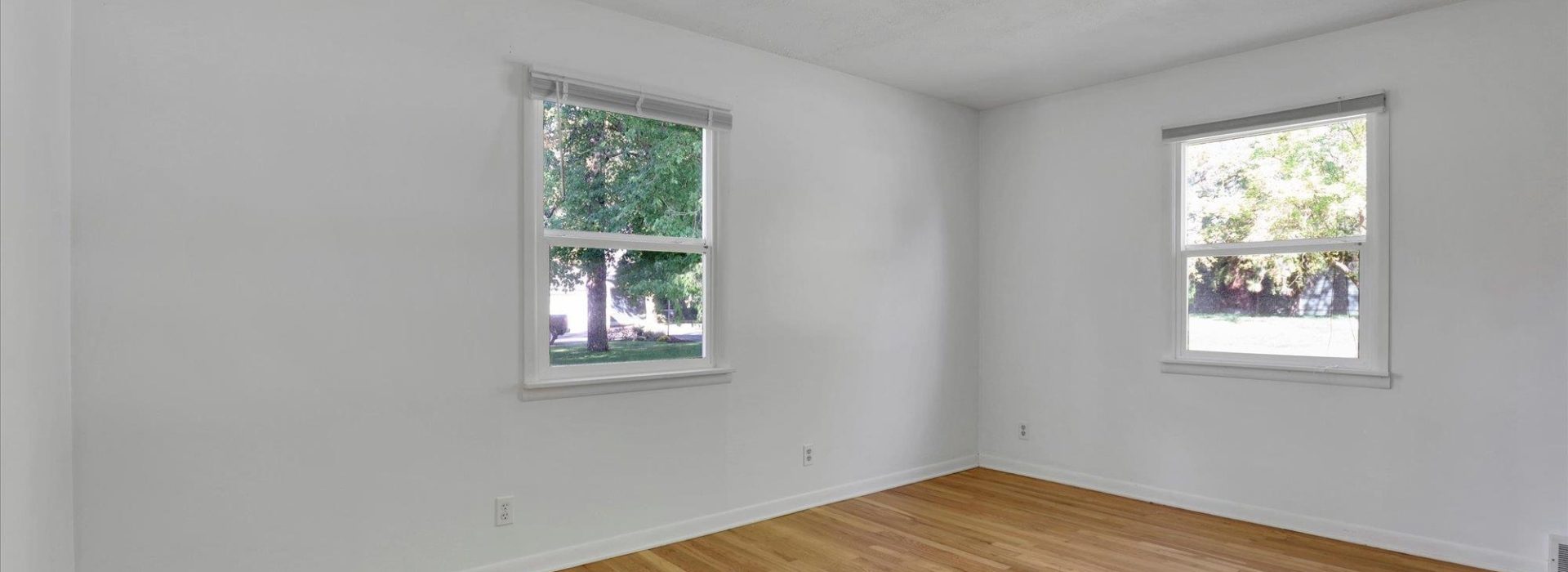 MLS41-1920x700.jpg