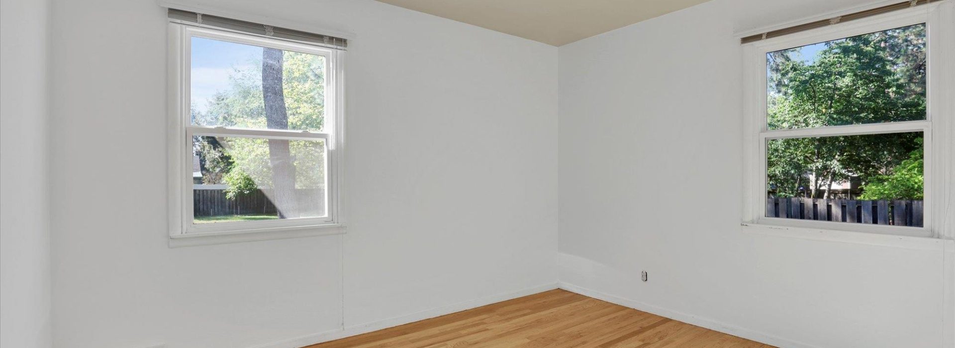 MLS43-1920x700.jpg