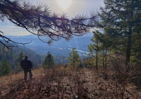 XX LeClerc Rd Rd, Cusick, Washington 99119, 0 , ,Land,For Sale,LeClerc Rd,0,SAR202526836 XX LeClerc Rd Rd, Cusick, Washington 99119, 0 , ,Land,For Sale,LeClerc Rd,0,SAR202526836