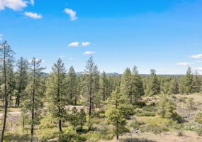 NKA Anderson Rd, Cheney, Washington 99004, 0 , ,Land,For Sale,Anderson,0,SAR202526962