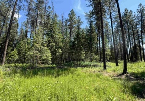 610 A St, Springdale, Washington 99173, 0 , ,Land,For Sale,A,0,SAR202514388