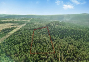 XXX Waldrons Ln, Chattaroy, Washington 99003, 0 , ,Land,For Sale,Waldrons,0,SAR202527326