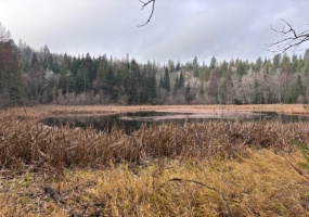 xx Bobier Rd, Newport, Washington 99156, 0 , ,Land,For Sale,Bobier,0,SAR202527733 xx Bobier Rd, Newport, Washington 99156, 0 , ,Land,For Sale,Bobier,0,SAR202527733