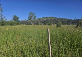 24225 Rosewood Ave, Newman Lake, Washington 99025, 0 , ,Land,For Sale,Rosewood,0,SAR202527735 24225 Rosewood Ave, Newman Lake, Washington 99025, 0 , ,Land,For Sale,Rosewood,0,SAR202527735